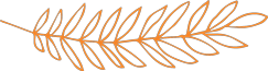 fleur png orange